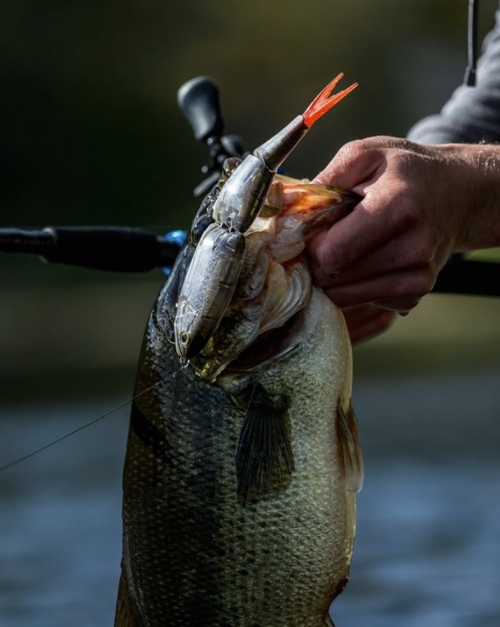 dennis fishing lures Mini D 6 Soft Swimbait Dennis the Menace Barbless #10 The Dennis the Menace Barbless #10 comes on a Barbless hook The Dennis the Menace Barbless #10 is manufactured by Caledonia Fly Company known for quality flies and workmanship. Denny Dennis